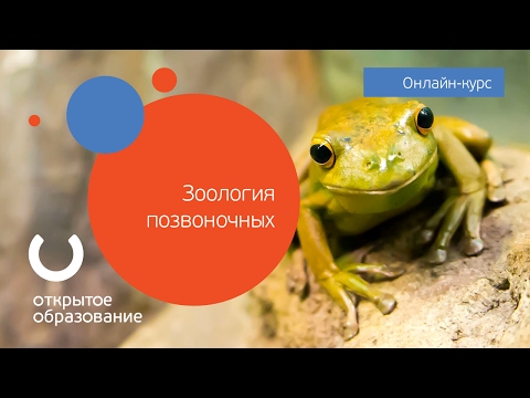 Зоология позвоночных / МГУ имени М. В. Ломоносова