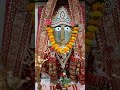 Rani Sati Dadi Navratri Shringar Darshan Jai Dadi Ki Namonarayani Dadiji Ranisatibhajan