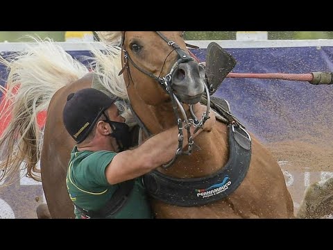 Vaqueiro SM - Rei do Gado