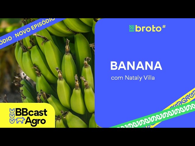 Bananicultura: oferta, preços e mercado no segundo semestre | BBCast Agro - 14/07/202