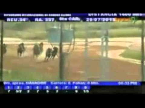 Resumen Lunes, 29 de Julio de 2013 - Rancho Alegre