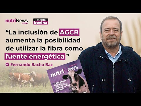 Fotograma del vídeo: Ácidos grasos volátiles de cadena ramificada en formulación dinámica
