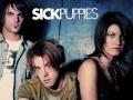 Sick Puppies Master of the Universe 