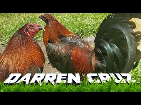 Beautiful Birds Darren Cruz Julianas Farm | Black Friday Sweater Hatch Grey Pumpkin