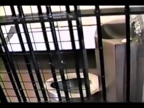 TWIR News May 17, 1992