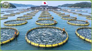 Japan’s Biggest Harvest Season 2026 – How Japanese Farmers Harvest Millions of Tons of Food MQDEFAULT Thumbnail