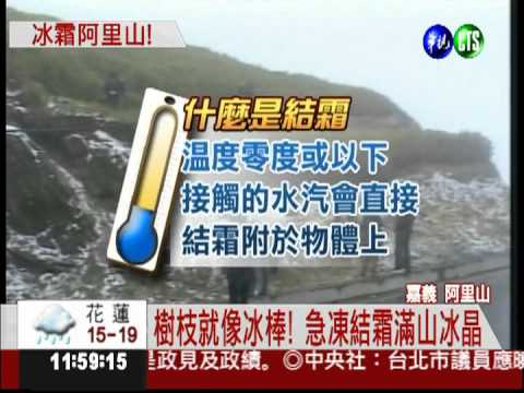 最低溫0.1度! 阿里山樹葉結霜