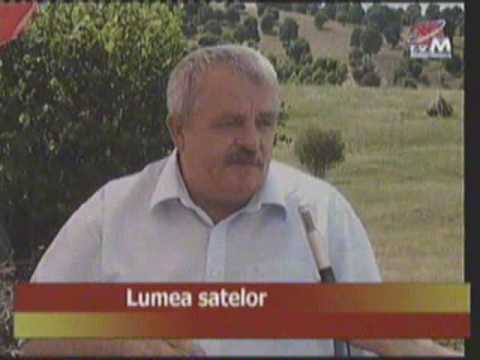 Sărbătoare la Piatra Soimului V