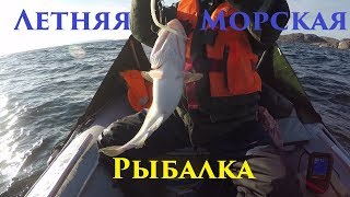 Рыбалка на баренцевом море летом