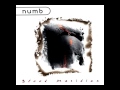 Numb - Critical Mass & No Time