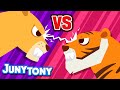 Lion Vs Tiger JunyTony Versus Series Ep 2 Who Is The Real King Animal Song JunyTony