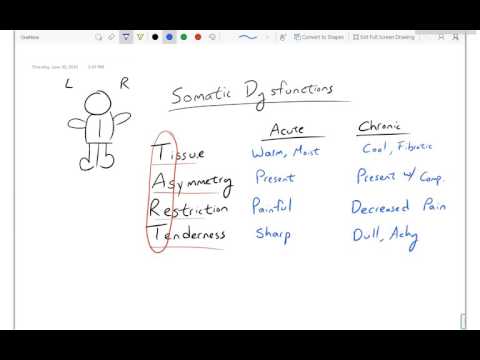 Intro to OMM - Somatic Dysfunctions