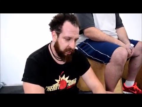 download lagu mp3 mp4 Cherry Bomb Japanese Barberry, download lagu Cherry Bomb Japanese Barberry gratis, unduh video klip Cherry Bomb Japanese Barberry