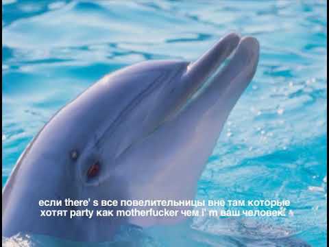 John Motta: Skate Mental Am Chowder Video (2009)