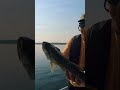 Video Thumbnail for Perfect lake trout for dinner!