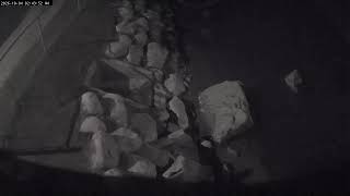 Ontario · Oshawa · Thomas Street live stream