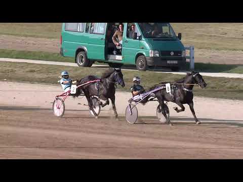 2023.10.14. 6. Futam - KIRÁLYSÁG - EPERJES - 90. KÉTÉVESEK NAGYDÍJA Autóstart!