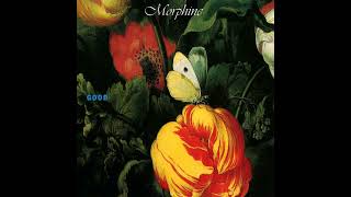 Do Not Go Quietly Unto Your Grave - Morphine