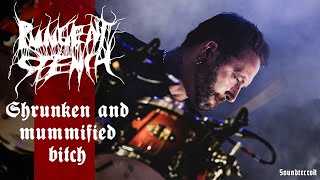 Schirenc plays PUNGENT STENCH - Shrunken and mummified bitch - Live in Katowice 2021