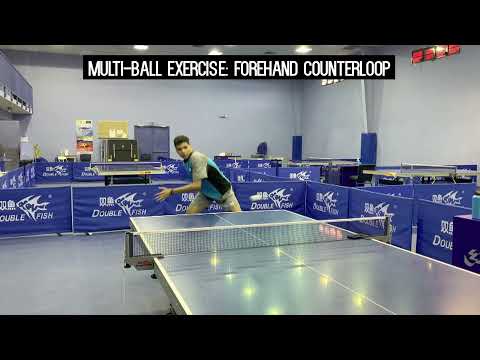 Butterfly Training Tips with Angel - Forehand & Backhand Counterlooping