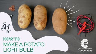 Potato POWER: How to make a potato light bulb