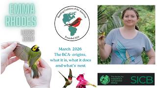 The BCA with Emma Rhodes ... wait?  hummingbirds are wearing backpacks now?