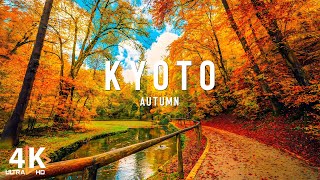 Autumn In Kyoto Japan  4K Video | Exploring the Majestic Temples Amidst the Red Leaves - Travel Vlog