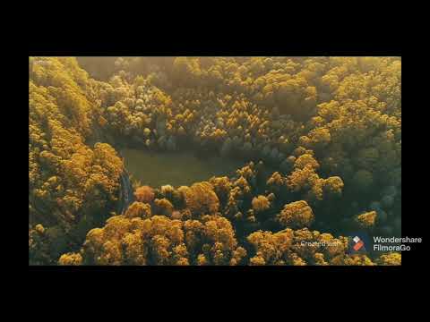 Psalmi  Marcel Iures.