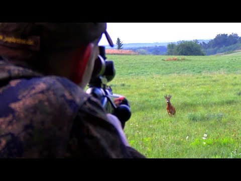 Blattzeit! das musst du wissen! - Hunter Brothers