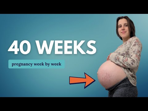 40 Weeks Pregnant 🤰 What to Expect: Changes for You & Baby Movement and Development
