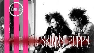 The Samples: SKINNY PUPPY Edition
