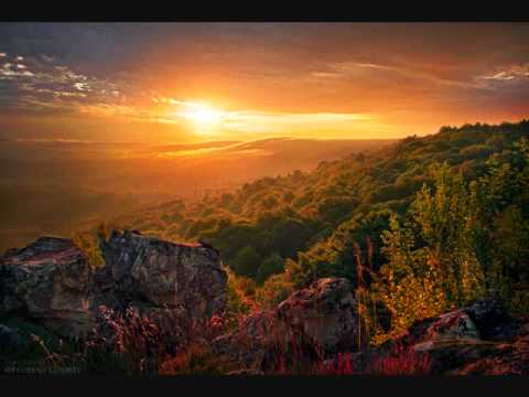 Neptune Project feat. Polly Strange - The Inside﻿