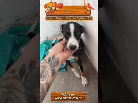 Vídeo de Layra