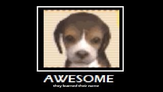 how to teach your dog on nintendogs their name on desmume (harder method)