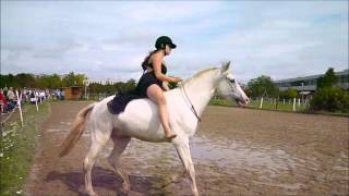 freestyle dressage bridleless   magdalena & max