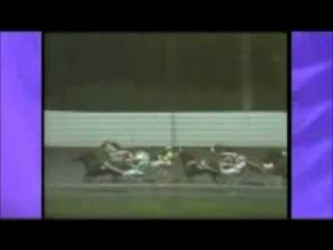 Breeders Crown Open Trot 1989 -Delray Lobell