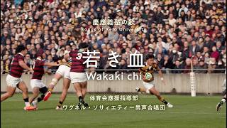 【聴いて！ 歌って！ 慶應義塾の歌】若き血～体育会應援指導部×ワグネル・ソサィエティー男性合唱団 #慶應 #若き血