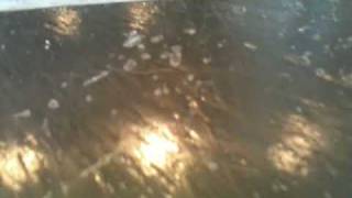 Slate floor w/polyurethane sealer BEFORE Slate floor w/polyurethane sealer BEFORE