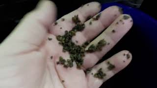 Tank Talk - Episode 1 - Tank Tour 2024