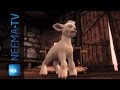 Leeuw Van Juda Trailer