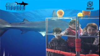 DIA 3 Expo Tiburon150