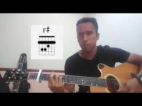 Água Viva - Scudo