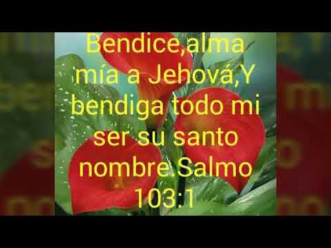 Y Esperare En El _ Zulmy Mejia.