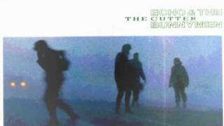Echo and the Bunnymen - Zimbo (all my colors)