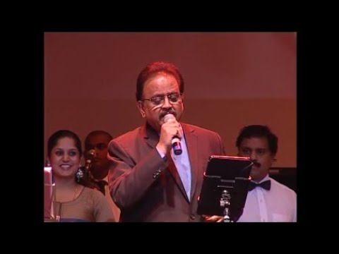 SPB show in London, UK, in Dec 2012 organised by Assist Resettlement & Renaissance