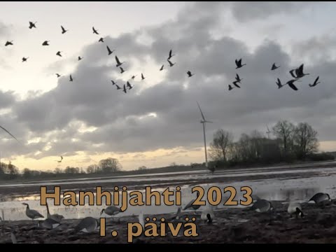 Hanhijahti 2023 Osa 1/2 goose hunting 2023 part 1/2