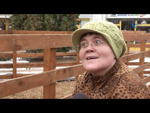 Gyula Tv Híradó 2016. 12. 20.