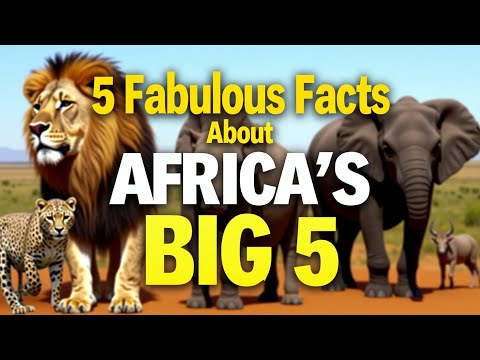 5 Facts About Africa's Big 5 Animals | Fascinating Wildlife Facts