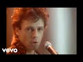 Rick Springfield - Affair of the Heart (Official Music Video)