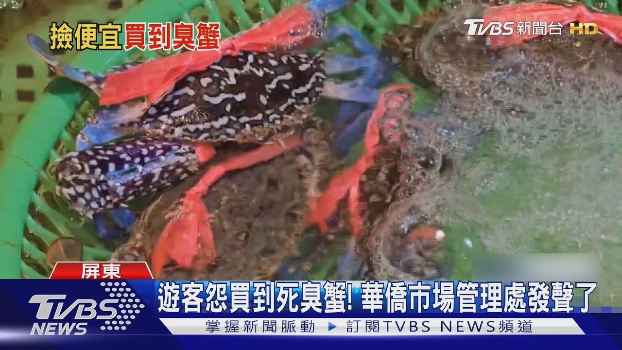 華僑市場買到便宜螃蟹? 回家才知有臭死蟹、便宜貨